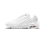 تصویر Nike Air Terra Nokta White