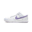 تصویر Nike Dunk SB Low Puprle Plus