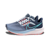 تصویر Nike Air Zoom Pegasus 39 Grey Blue