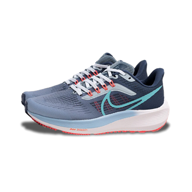 تصویر Nike Air Zoom Pegasus 39 Grey Blue